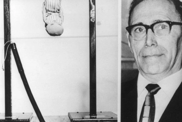 Η εφιαλτική «κούνια του Μπόγκερ» στο Άουσβιτς